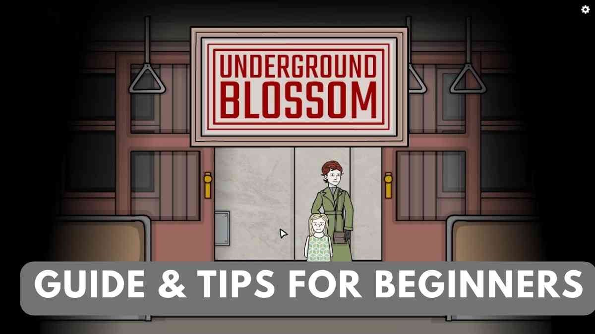 Guide & Tips for Beginners